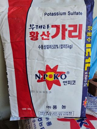 양주촌로님의 자유주제 · 자유게시판 작성글 사진