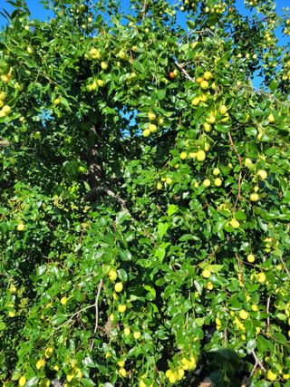 커피나무님의 자유주제 · 자유게시판 작성글 사진