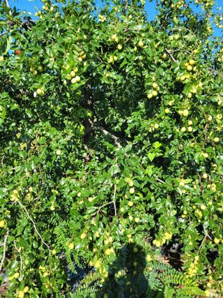 커피나무님의 자유주제 · 자유게시판 작성글 사진