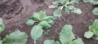 남기하님의 자유주제 · 자유게시판 작성글 사진