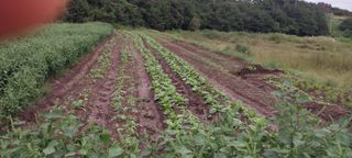 남기하님의 자유주제 · 자유게시판 작성글 사진