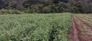 남기하님의 자유주제 · 자유게시판 작성글 사진