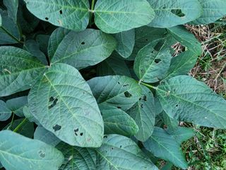 정인원님의 자유주제 · 자유게시판 작성글 사진