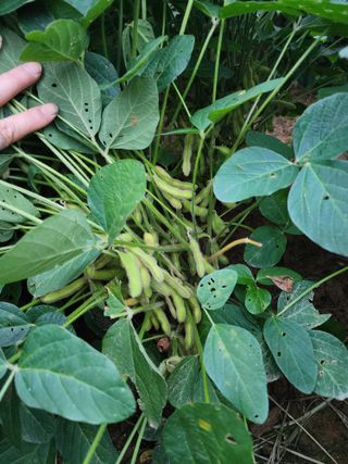 정인원님의 자유주제 · 자유게시판 작성글 사진