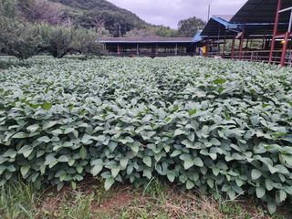 정인원님의 자유주제 · 자유게시판 작성글 사진