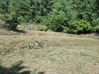 영자님의 들깨 · 영농일지 작성글 사진