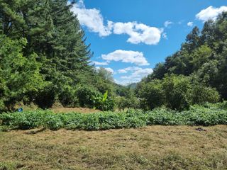 영자님의 들깨 · 영농일지 작성글 사진