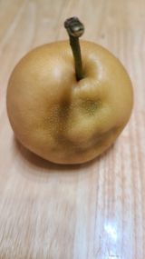 팜모닝 농사, 무엇이든 물어보세요!·참여글 게시글 이미지