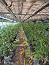 팜모닝 자유주제·자유게시판 게시글 이미지