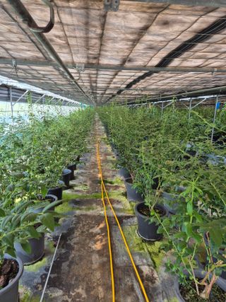 하늘농원님의 자유주제 · 자유게시판 작성글 사진