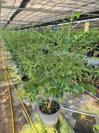 하늘농원님의 자유주제 · 자유게시판 작성글 사진