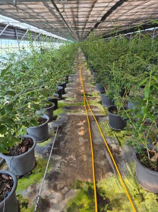 하늘농원님의 자유주제 · 자유게시판 작성글 사진