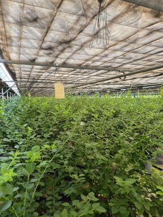 하늘농원님의 자유주제 · 자유게시판 작성글 사진