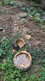 팜모닝 자유주제·자유게시판 게시글 이미지