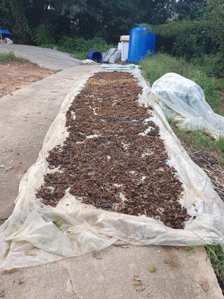 정봉원님의 자유주제 · 자유게시판 작성글 사진