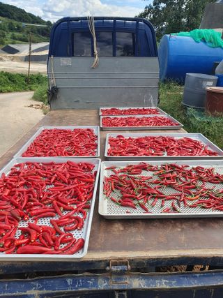 정봉원님의 자유주제 · 자유게시판 작성글 사진