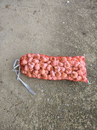 자연인님의 자유주제 · 자유게시판 작성글 사진