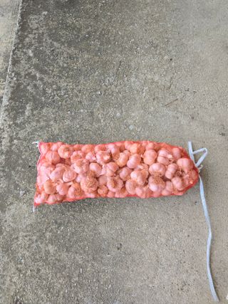 자연인님의 자유주제 · 자유게시판 작성글 사진