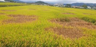 나종천님의 자유주제 · 사진전 작성글 사진