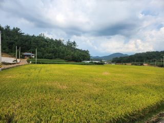 나종천님의 자유주제 · 사진전 작성글 사진