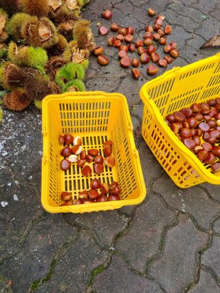 김용대님의 자유주제 · 자유게시판 작성글 사진