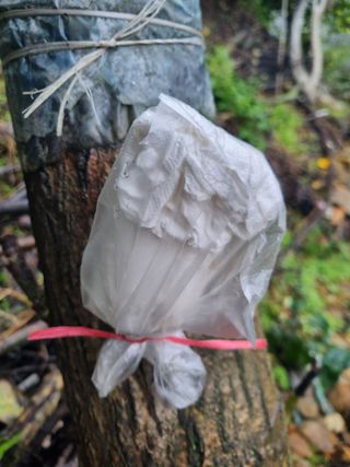 김용대님의 자유주제 · 자유게시판 작성글 사진