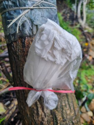 김용대님의 자유주제 · 자유게시판 작성글 사진