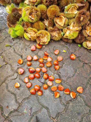 김용대님의 자유주제 · 자유게시판 작성글 사진