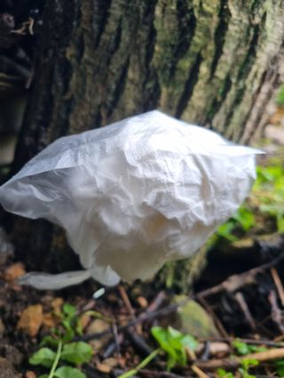 김용대님의 자유주제 · 자유게시판 작성글 사진