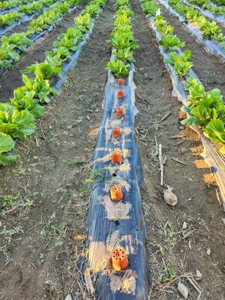 손정아님의 자유주제 · 자유게시판 작성글 사진