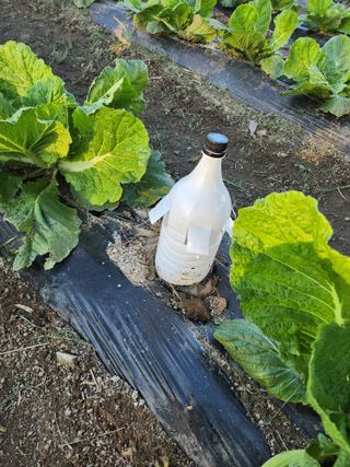 손정아님의 자유주제 · 자유게시판 작성글 사진