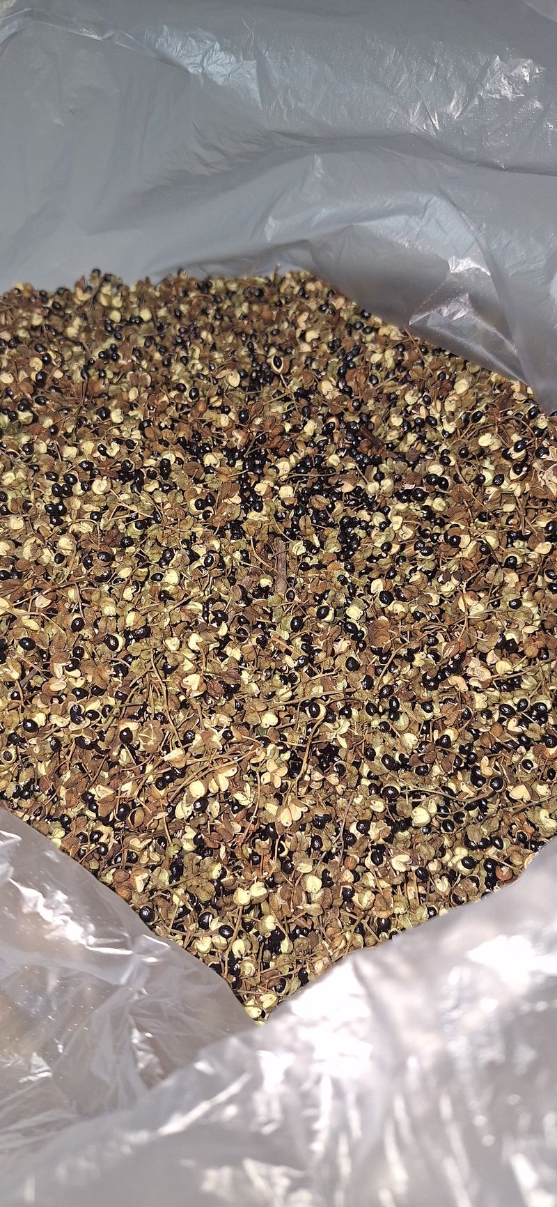 장터 상품 [건乾 마른제피(100g15,000원) ] 썸네일