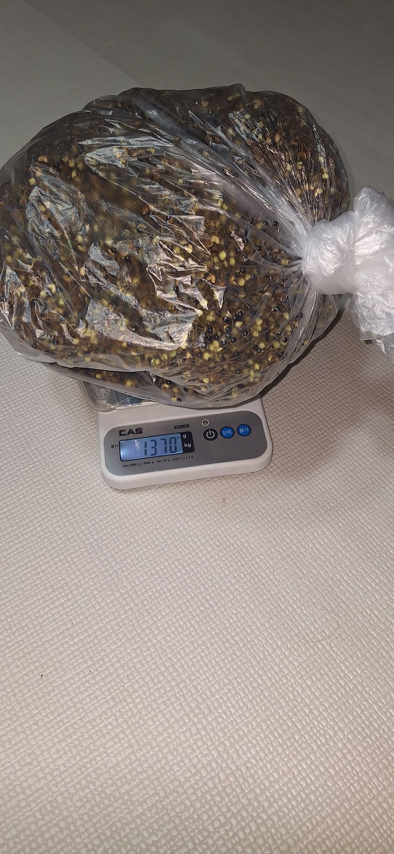 노루목 농장님의 장터 판매 상품 [건乾 마른제피(100g15,000원) ] 첨부 사진