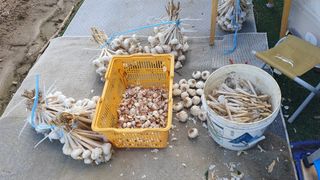 이서구님의 자유주제 · 자유게시판 작성글 사진