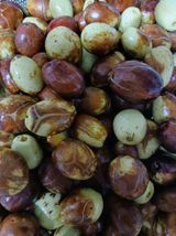 팜모닝 기타작물·영농일지 게시글 이미지