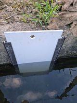 팜모닝 파·자유게시판 게시글 이미지