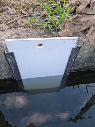 제로스톤님의 파 · 자유게시판 작성글 사진