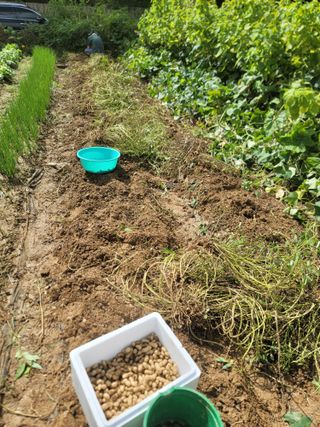 스카이2님의 기타작물 · 영농일지 작성글 사진