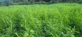 가루개님의 자유주제 · 사진전 작성글 사진