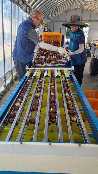 우창농원님의 자유주제 · 자유게시판 작성글 사진