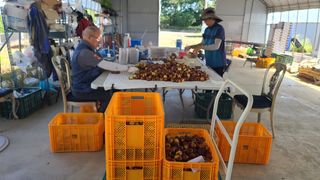 우창농원님의 자유주제 · 자유게시판 작성글 사진