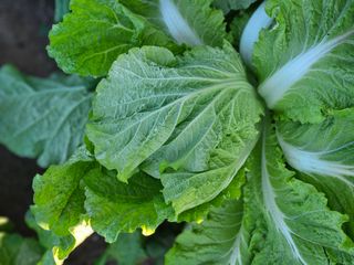 조정숙(1955)님의 자유주제 · 건의해요 작성글 사진