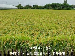 선종이님의 벼 · 영농일지 작성글 사진