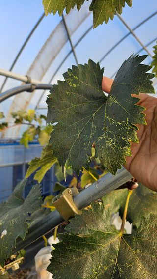 강화농부이씨님의 자유주제 · 자유게시판 작성글 사진