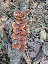 팜모닝 자유주제·자유게시판 게시글 이미지