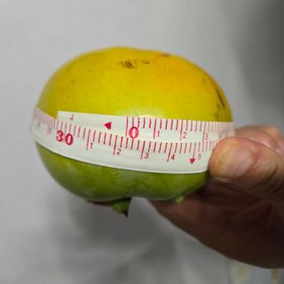 해균님의 감 · 영농일지 작성글 사진