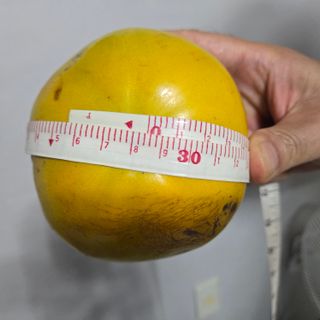 해균님의 감 · 영농일지 작성글 사진