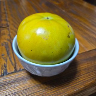 해균님의 감 · 영농일지 작성글 사진