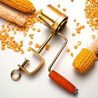유니즈님의 작성글 사진