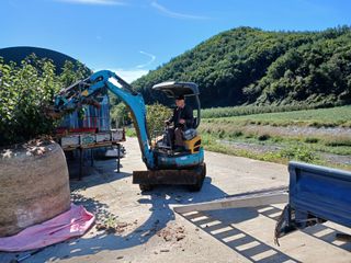 알 수 없음님의 자유주제 · 자유게시판 작성글 사진